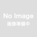 F.B.Gミニミニグルーガン(インストラクター価格）